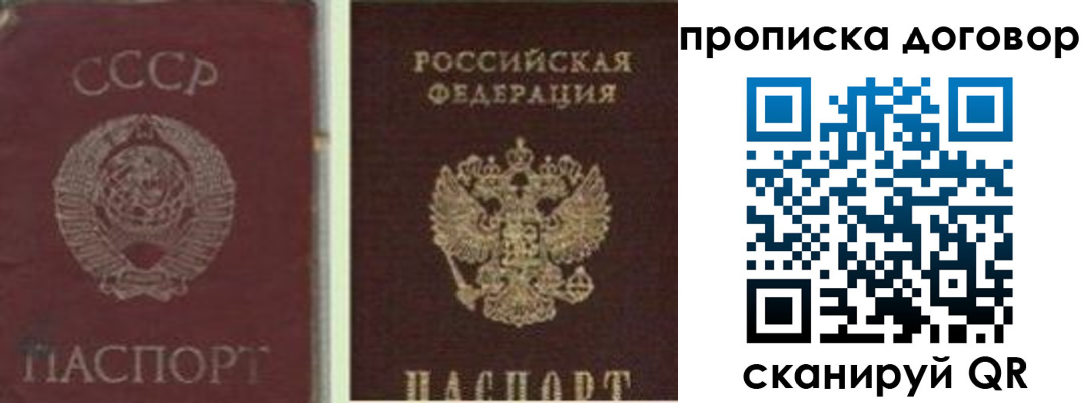 прописка гарантия в Ермолино